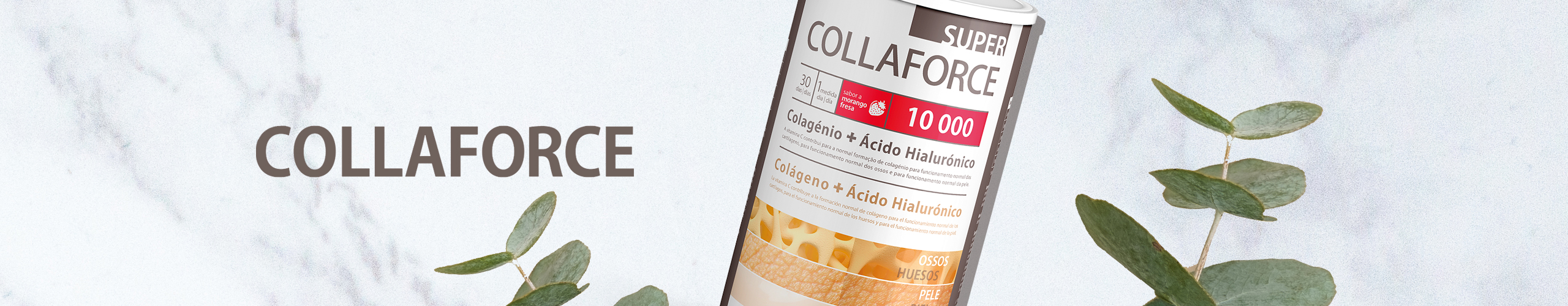 collarfoce Main Banner